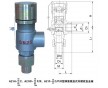 安全閥A21H-16C，廣州鑄鋼螺紋安全閥