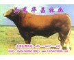 山東養(yǎng)?；睾８Ｌ嘏r格怎樣