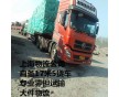 上海到興寧物流  自備17米5貨車 專業(yè)零擔(dān)運(yùn)輸 上海物流公司