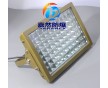 防爆投光燈LED100W,led光源防爆泛光燈120w