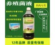 給鴿子飲水預(yù)防拉稀的是什么藥怎么購(gòu)買