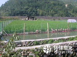 塑料田埂亮相水稻種植示范基地