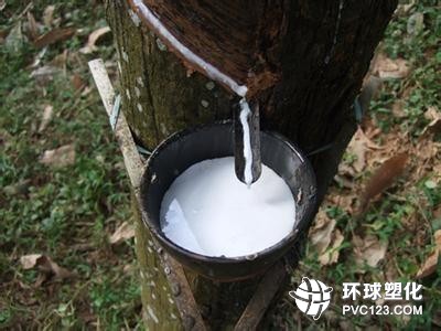 中泰簽署20萬噸天然膠采購協(xié)議